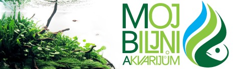 MojBiljniAkvarijum.org