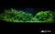 backto-fairytale_t1.jpg