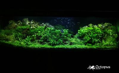 Back to fairytale 600l