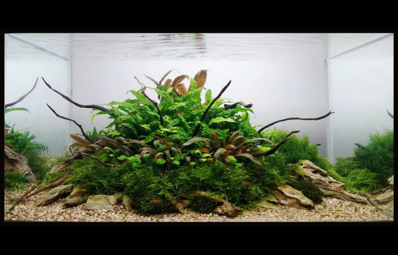 Green  volcano