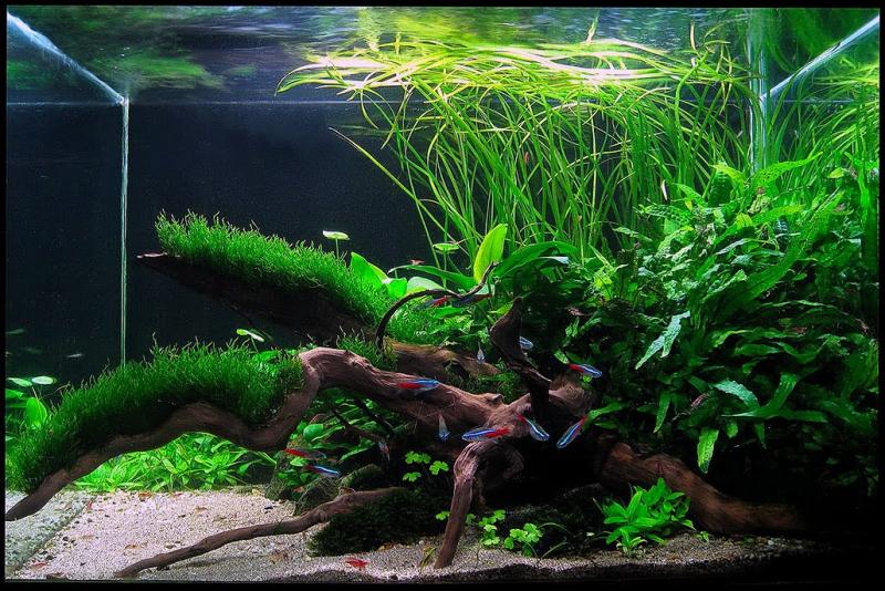 Nature is slowly taking