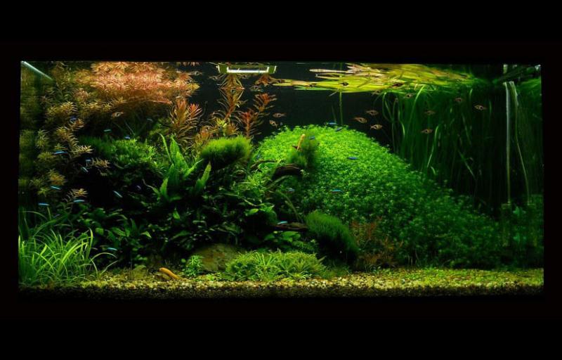 Small part of nature