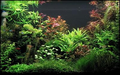 120 litara