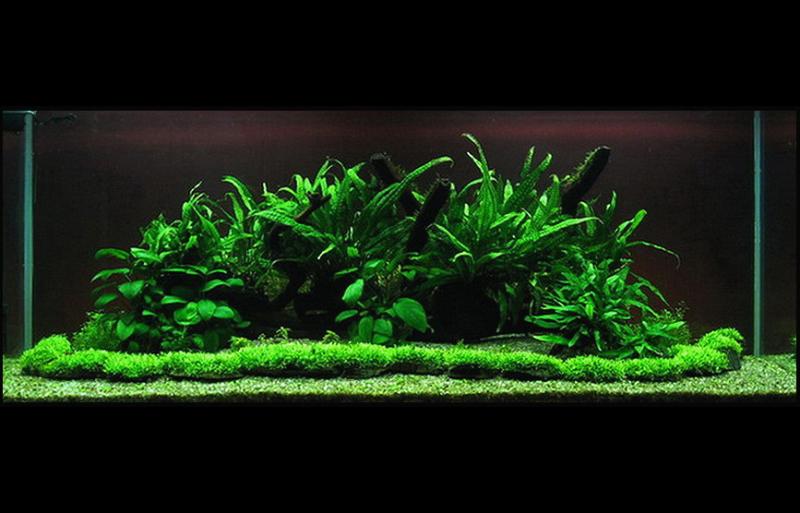 Moj prvi 300 lit