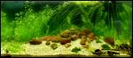 dsc00289_t1.jpg