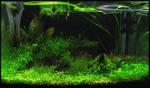 img_3491_t1.jpg