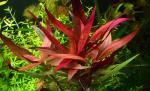 3_4_t1.jpg
