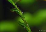dsc3345_t1.jpg