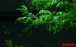 img_2910aq_t1.jpg
