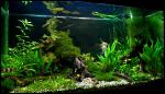 dscn3819_t1.jpg